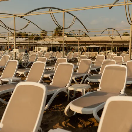 リゾート Castival シダ